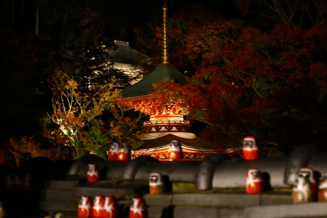 勝尾寺 紅葉 ライトアップ