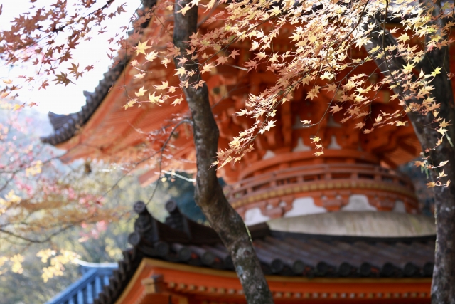 牛滝山 大威徳寺 ライトアップ