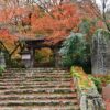 高源寺 紅葉 2024 見頃