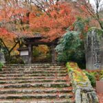 高源寺 紅葉 2024 見頃