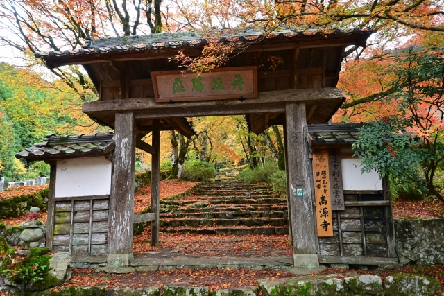 高源寺 紅葉 ライトアップ