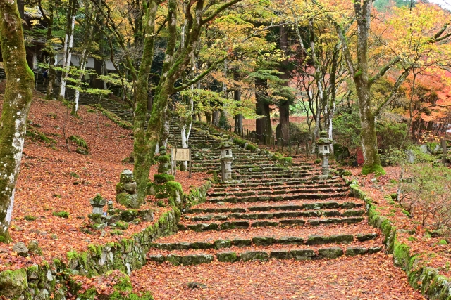 高源寺 紅葉 見頃