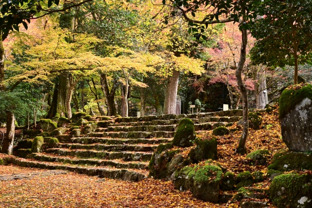 高源寺 紅葉 2024 見頃