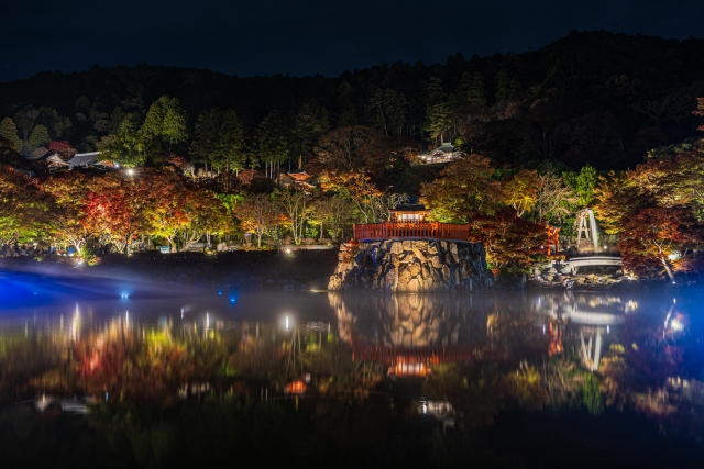 勝尾寺 紅葉 ライトアップ