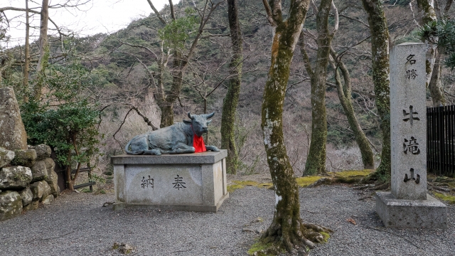 牛滝山 大威徳寺 紅葉