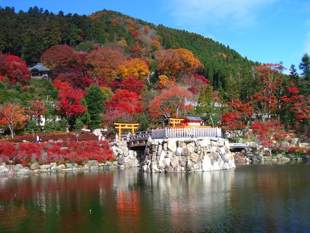 勝尾寺 紅葉 見頃